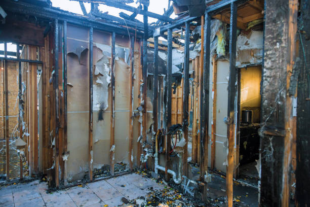 Professional Fire Damage Cleanup technician working in Foley, MN